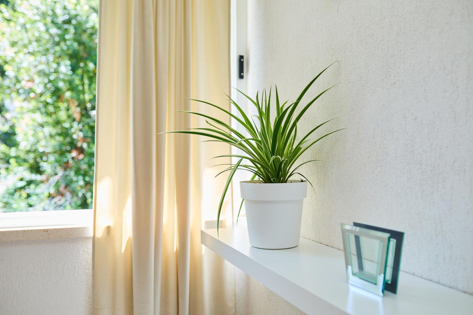 Promenada- 4pax With Parking Apartment *